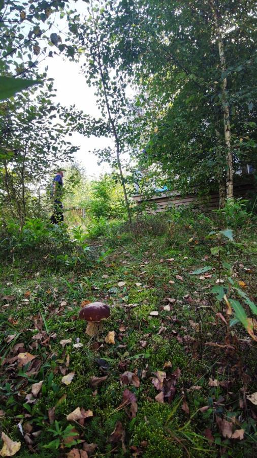 Szary Domek Zelwa Exterior foto